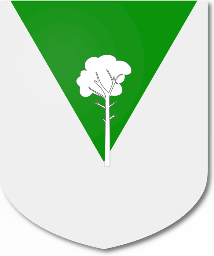 Shield image