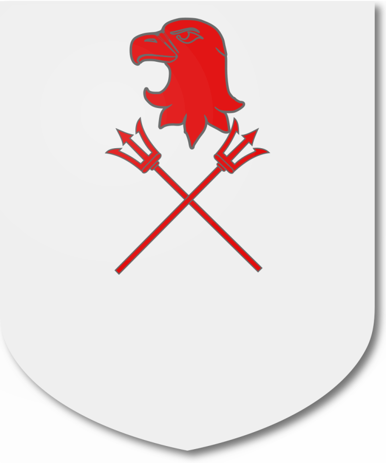 Shield image