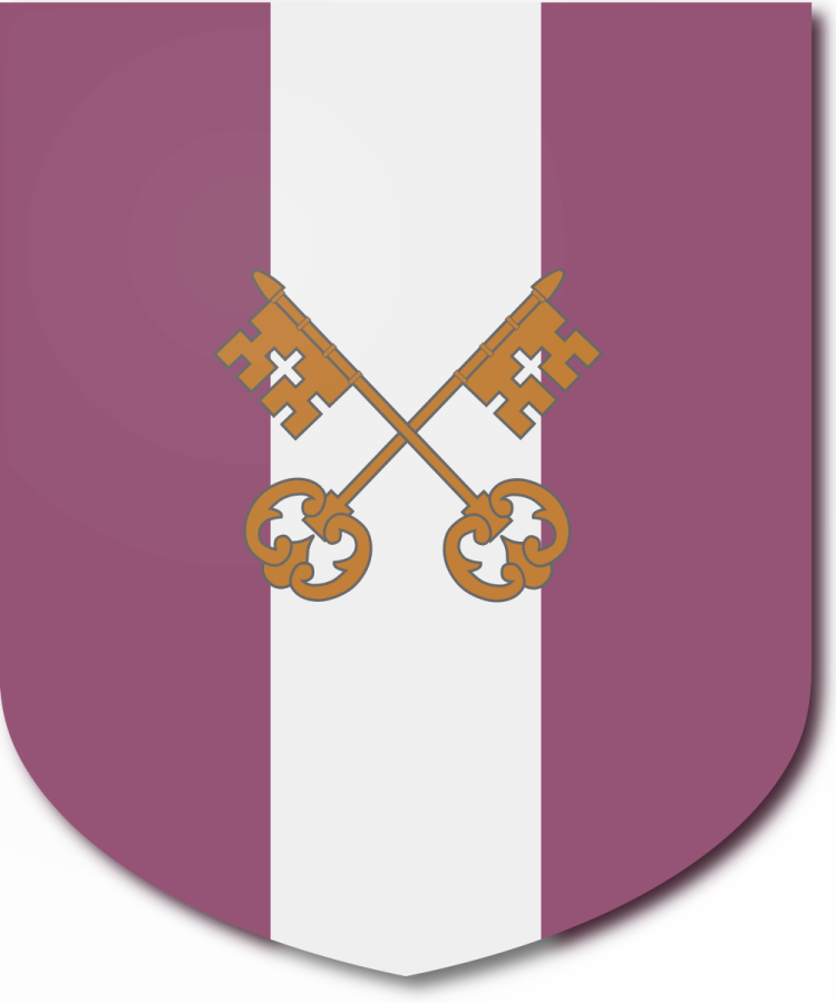 Shield image