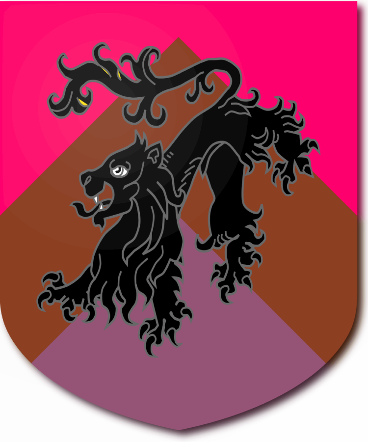 Shield image