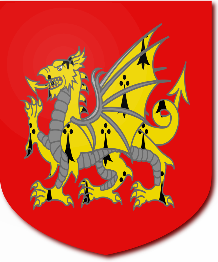 Shield image