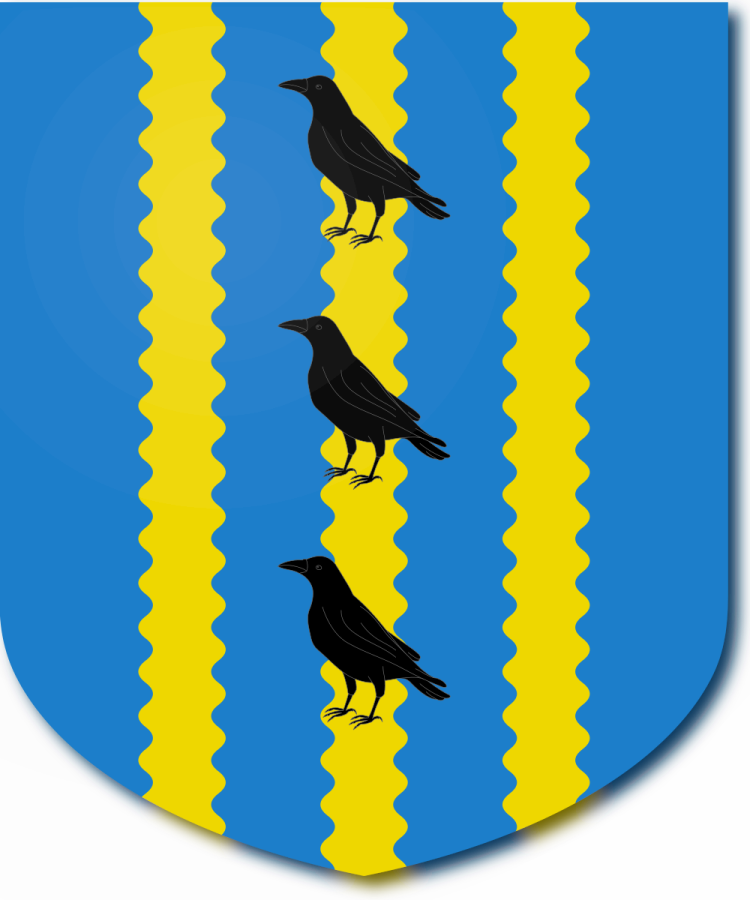 Shield image