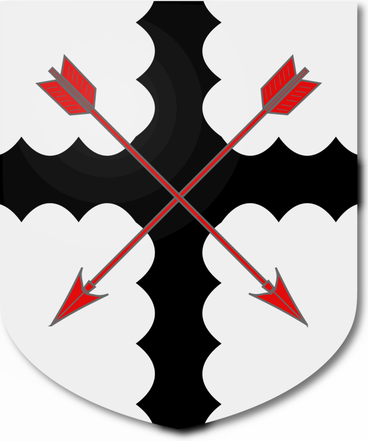 Shield image