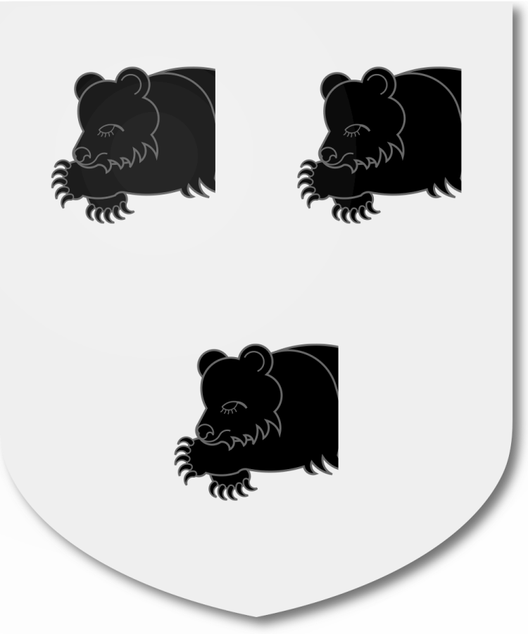 Shield image