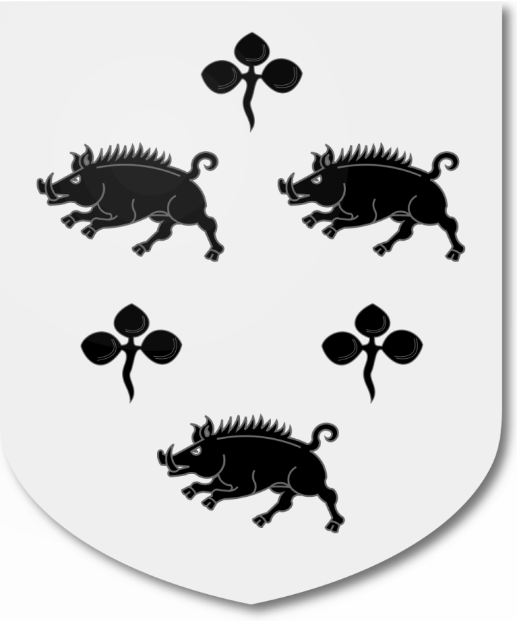 Shield image