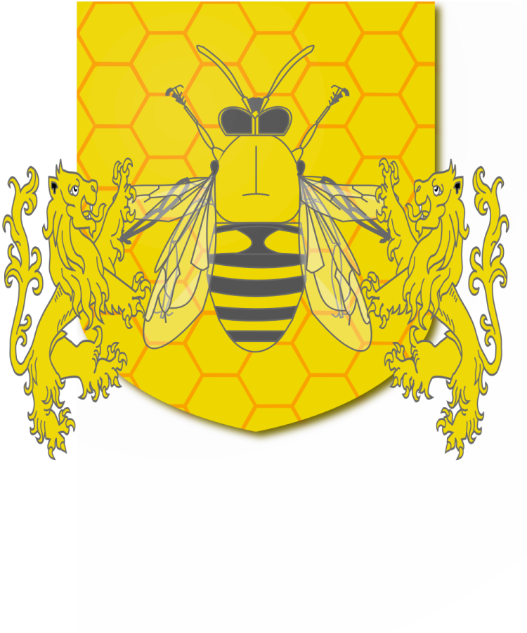 Shield image