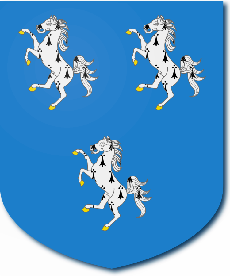 Shield image