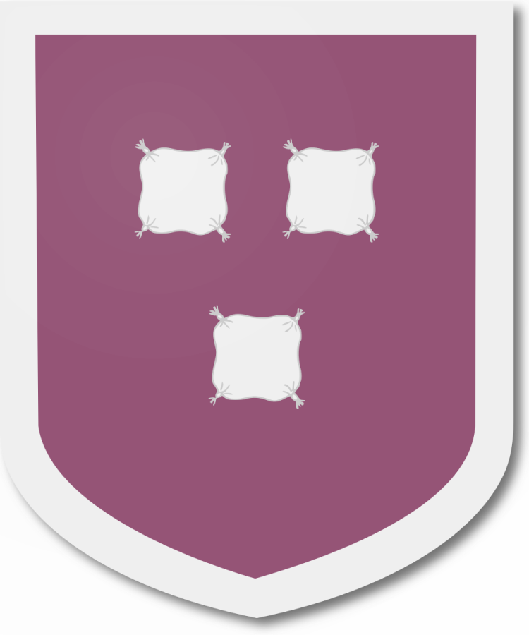 Shield image