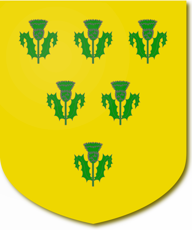 Shield image