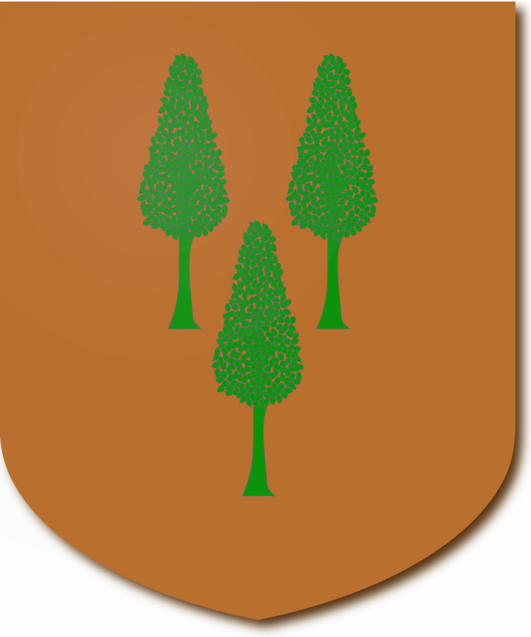 Shield image