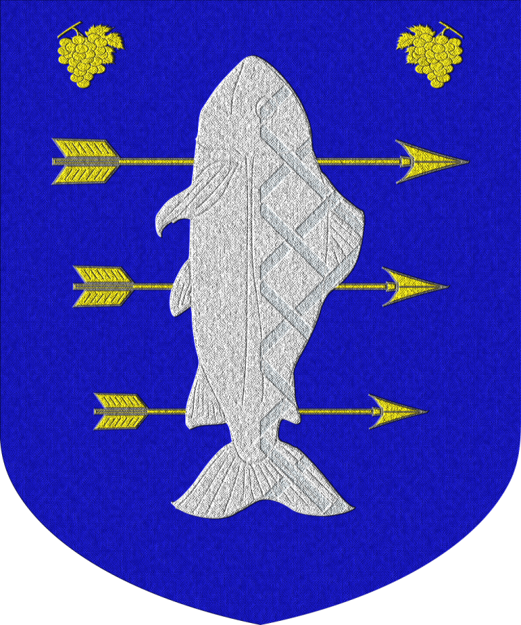 Shield image