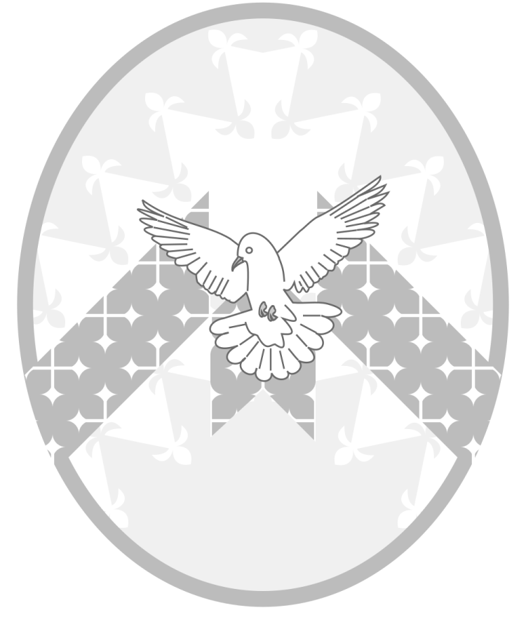 Shield image