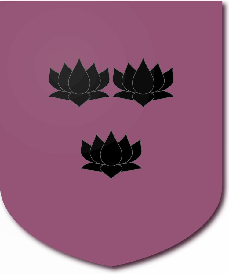 Shield image