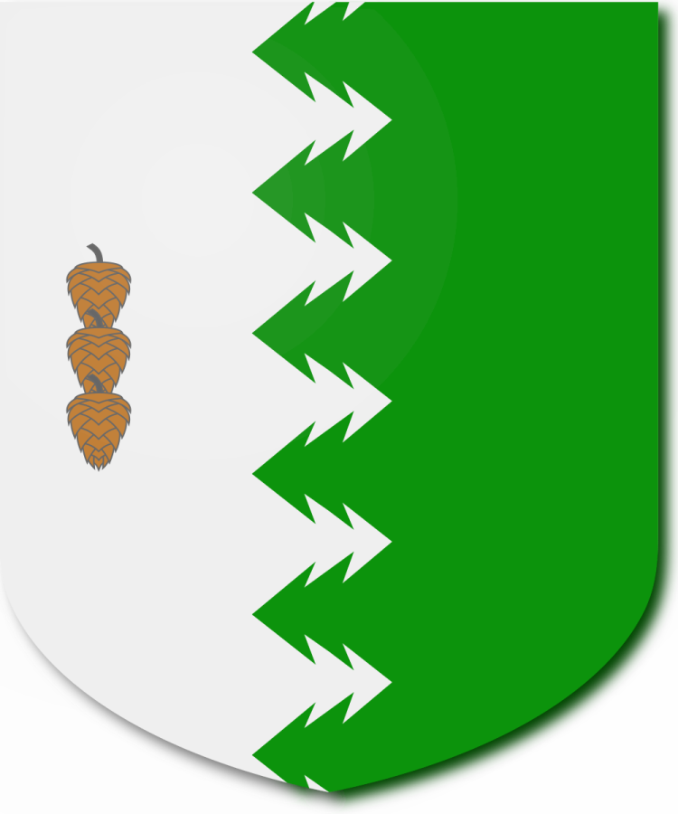 Shield image