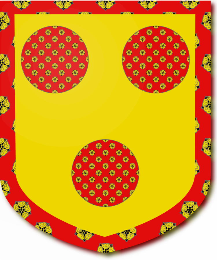 Shield image