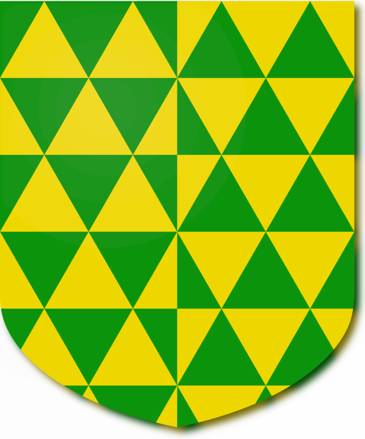 Shield image