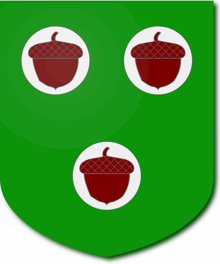 Shield image