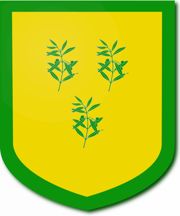 Shield image