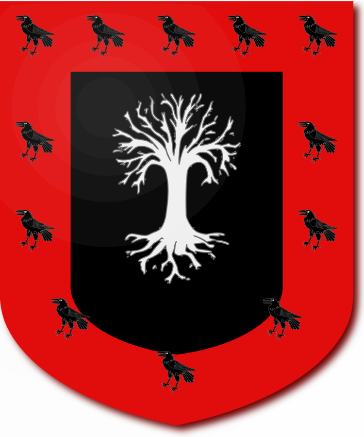 Shield image