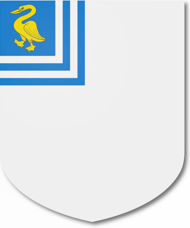 Shield image