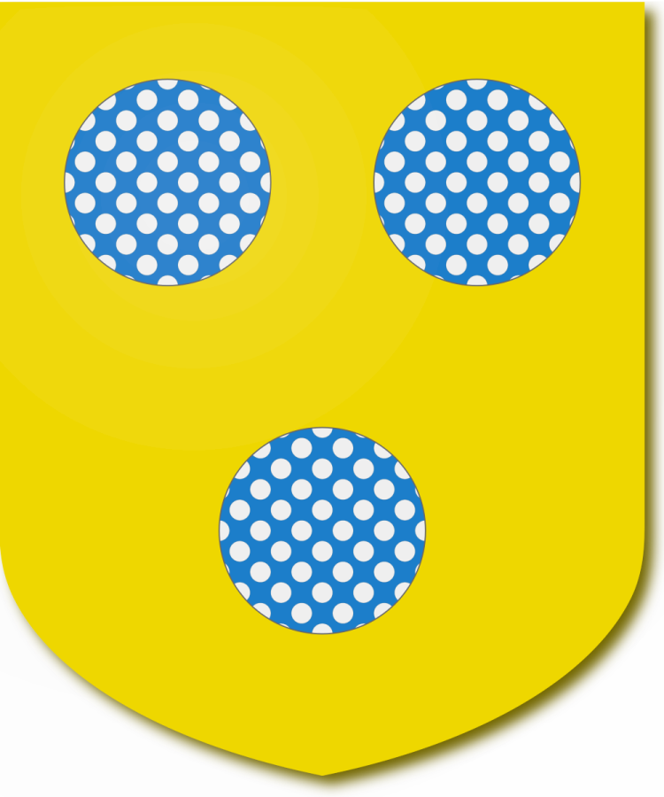 Shield image