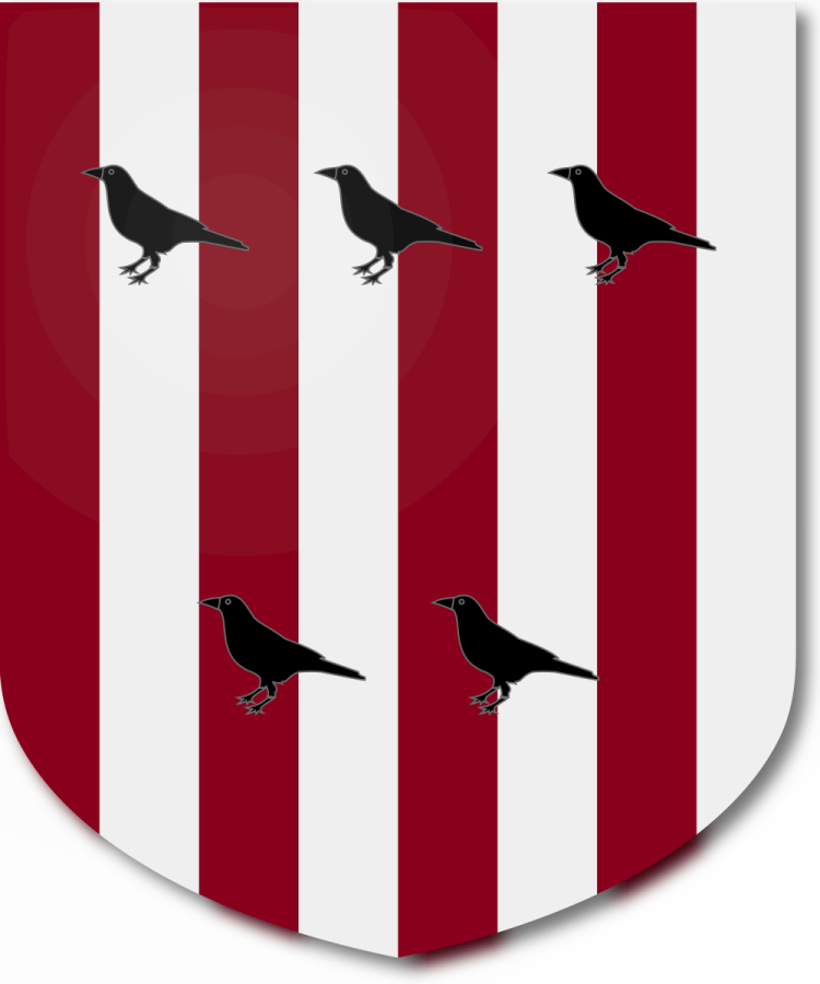 Shield image