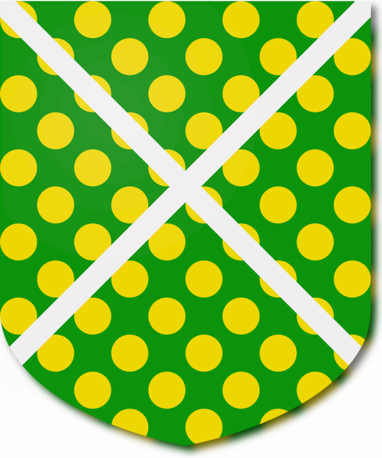 Shield image