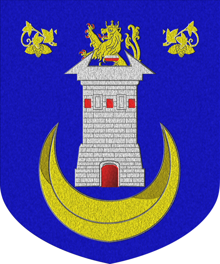 Shield image