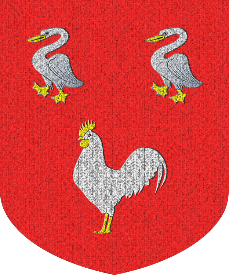 Shield image