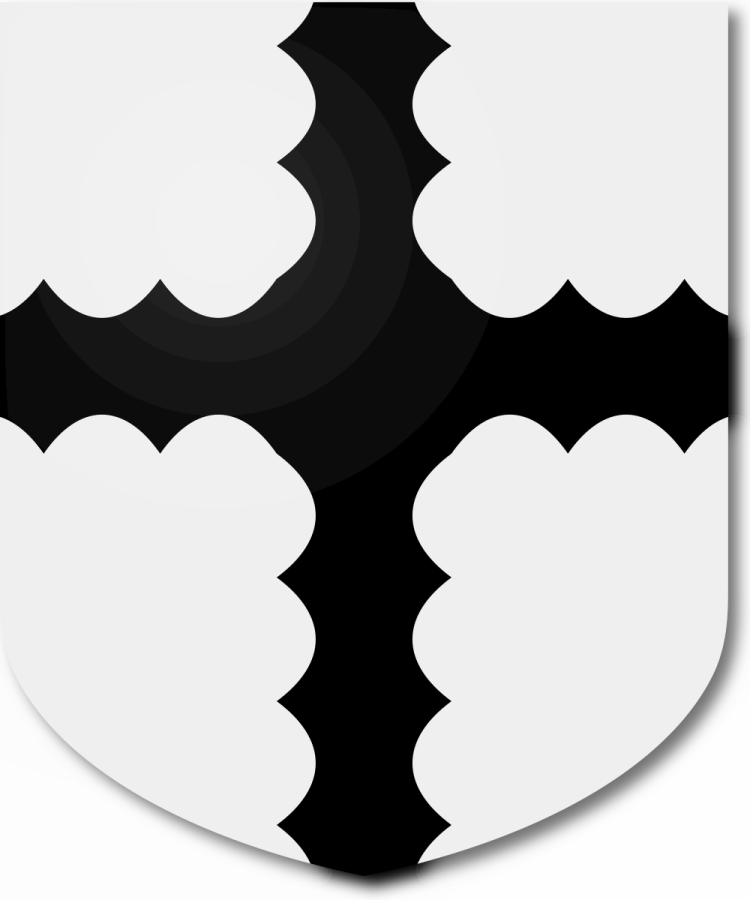 Shield image