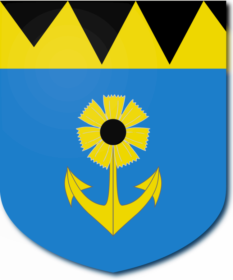 Shield image