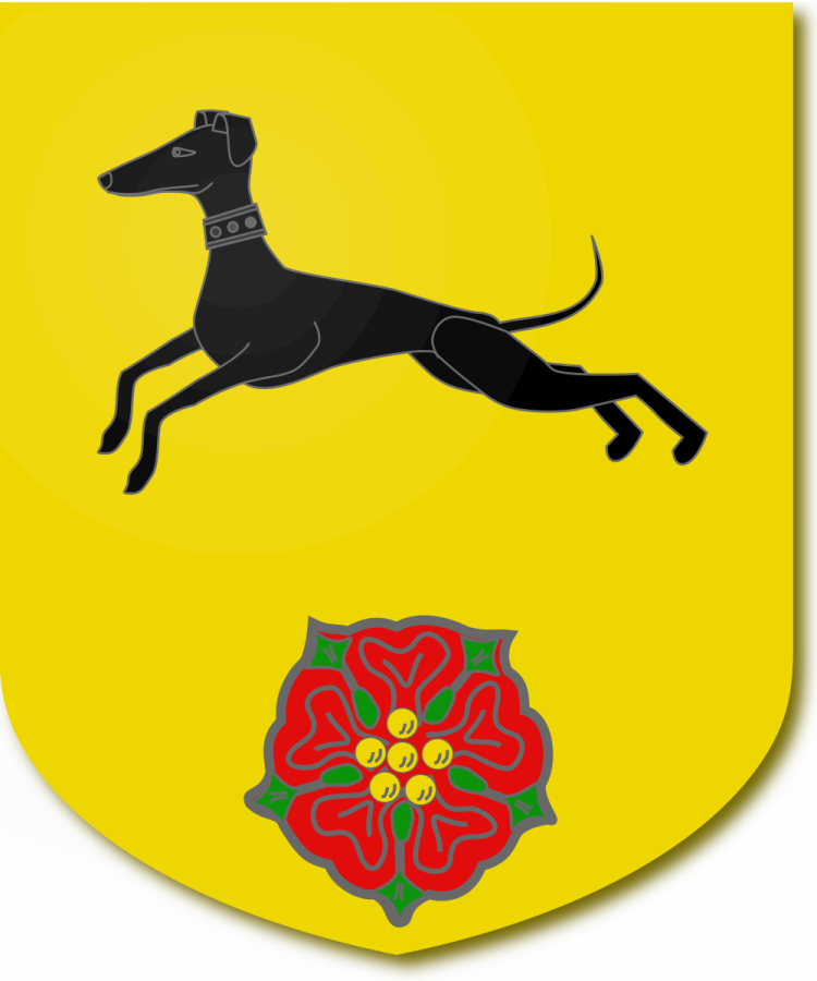 Shield image