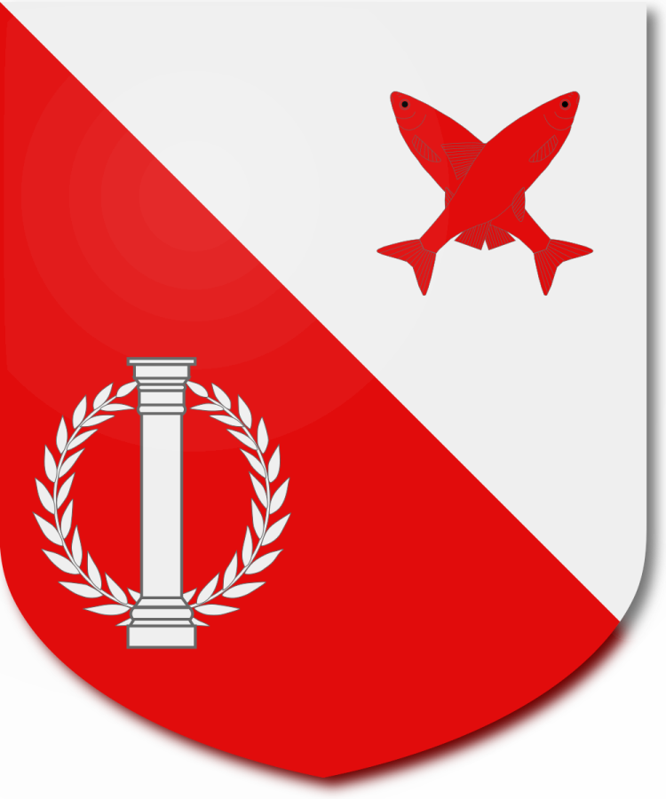 Shield image