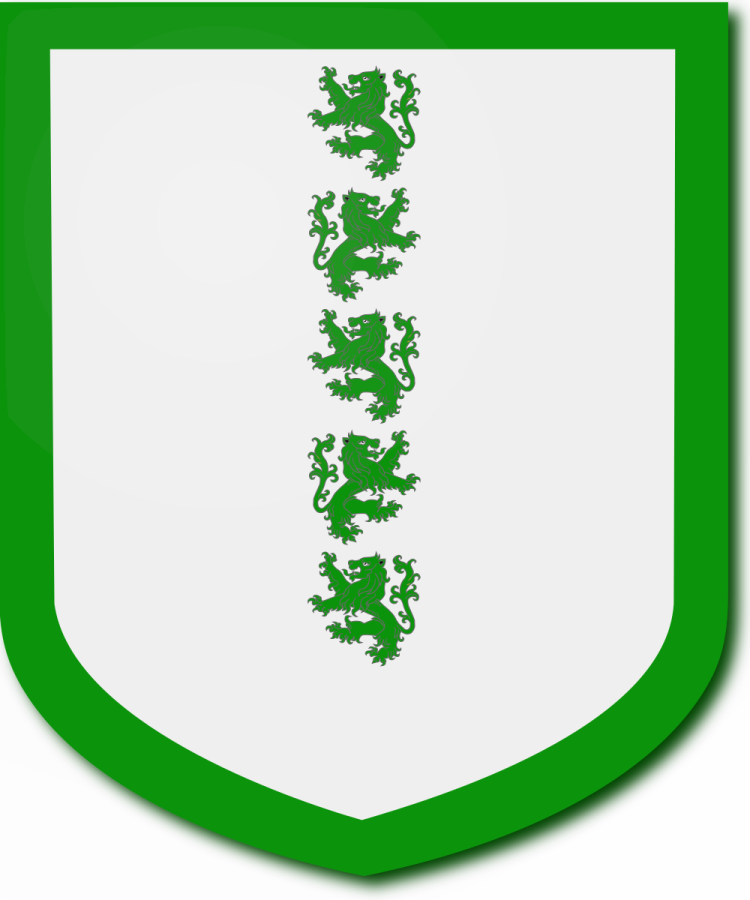 Shield image