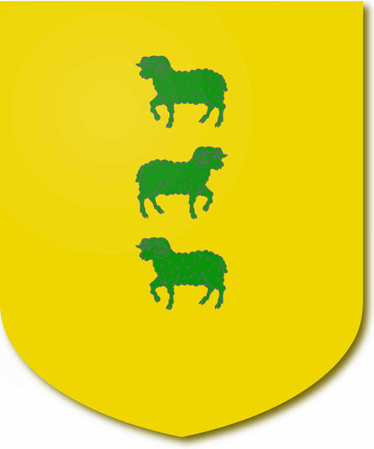 Shield image