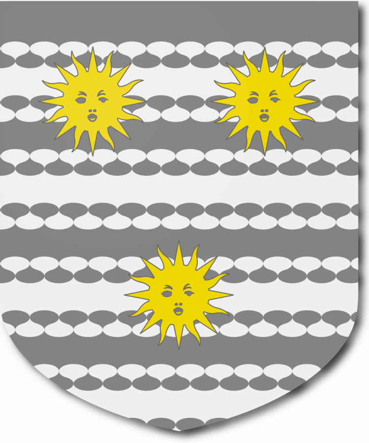 Shield image