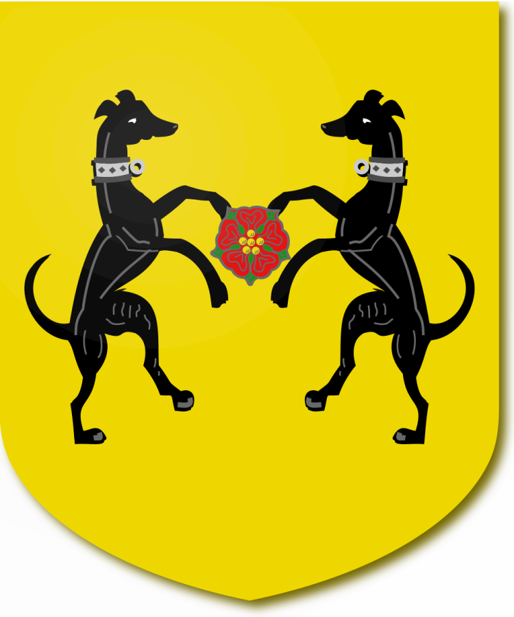 Shield image