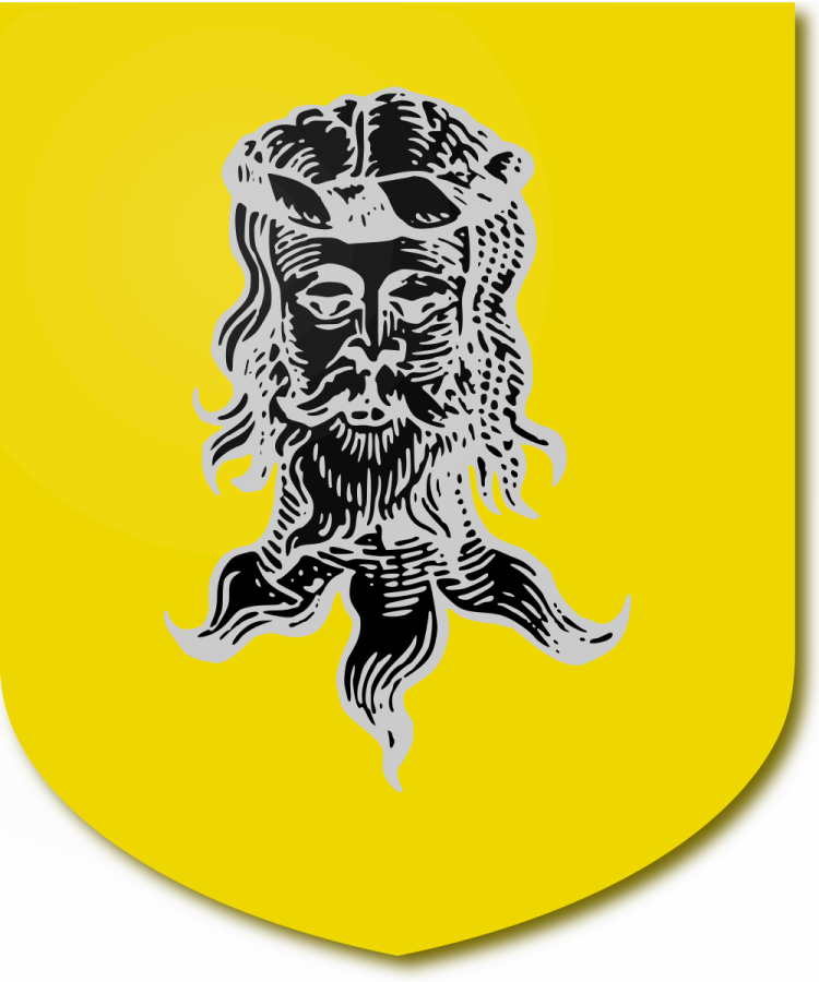 Shield image