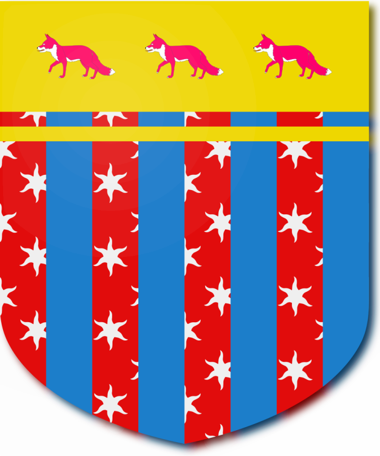 Shield image