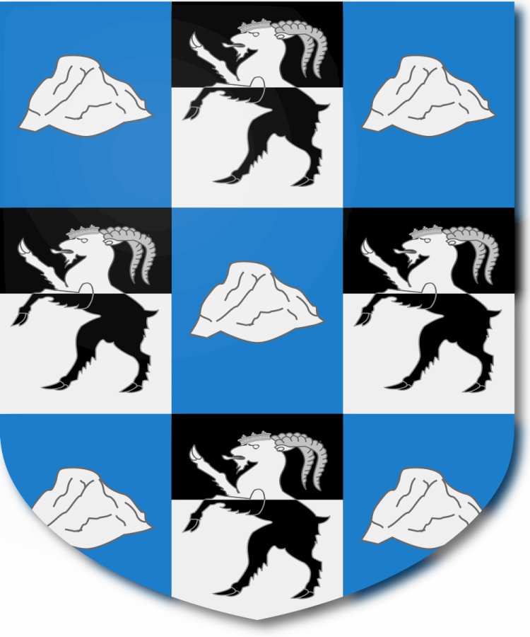 Shield image