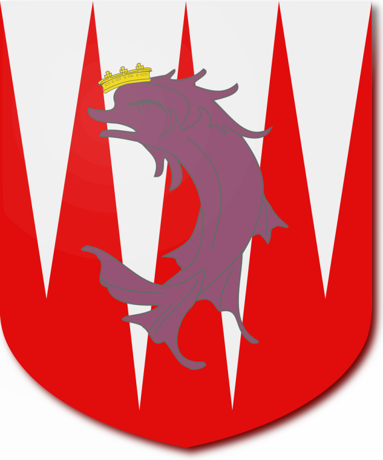 Shield image