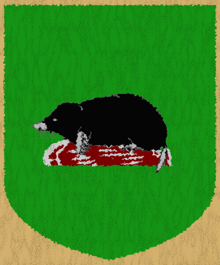 Shield image