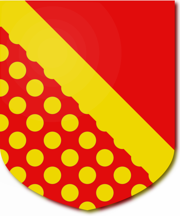 Shield image