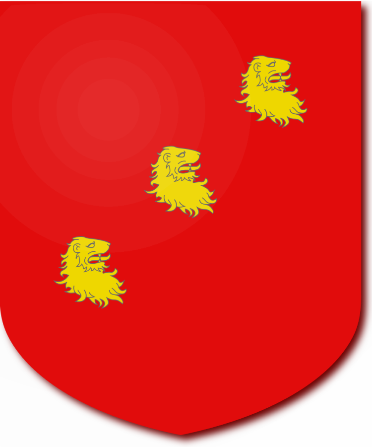 Shield image