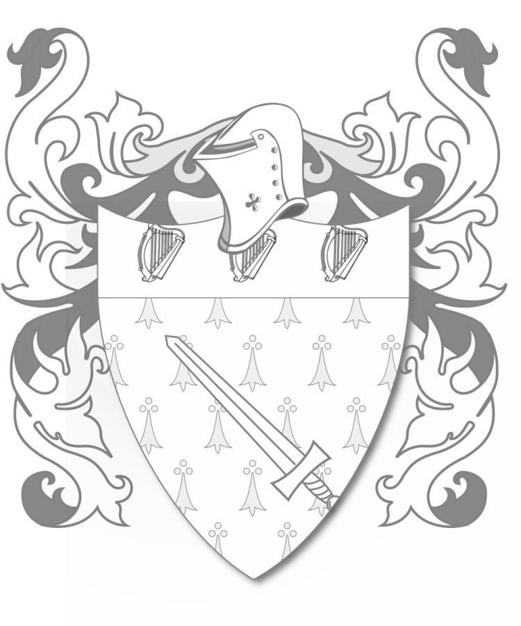 Shield image