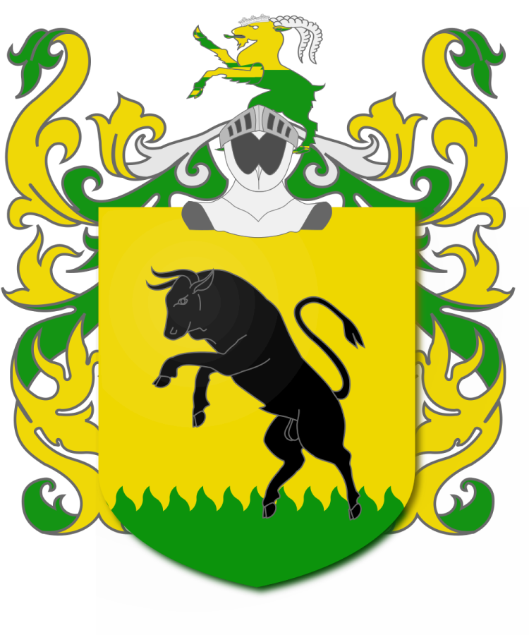 Shield image