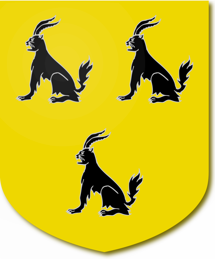 Shield image