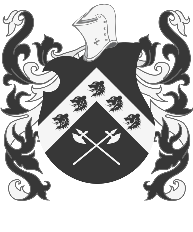 Shield image