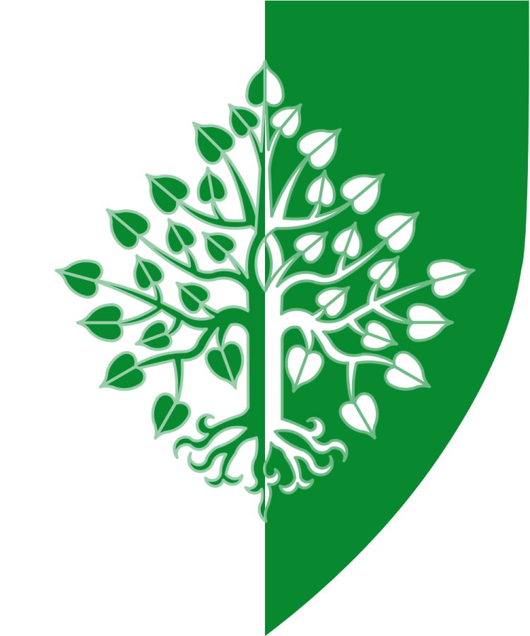 Shield image