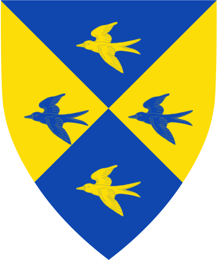 Shield image